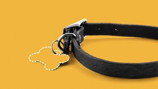 Illustration of a dog collar with the tag outlined in a white dashed line.